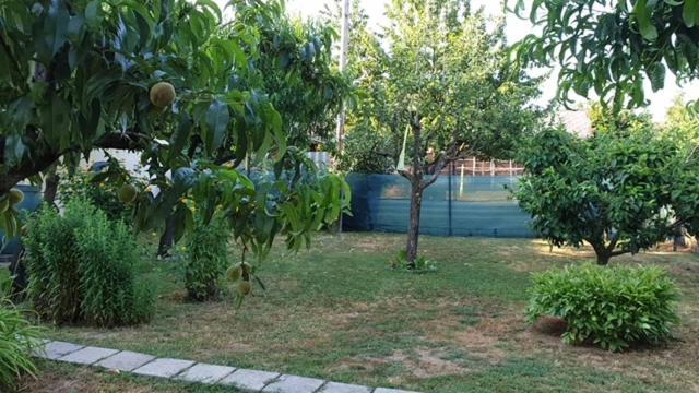 Ilona Apartmanok Balatonboglár Exterior foto